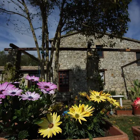 Casale Al Canneto Baschi